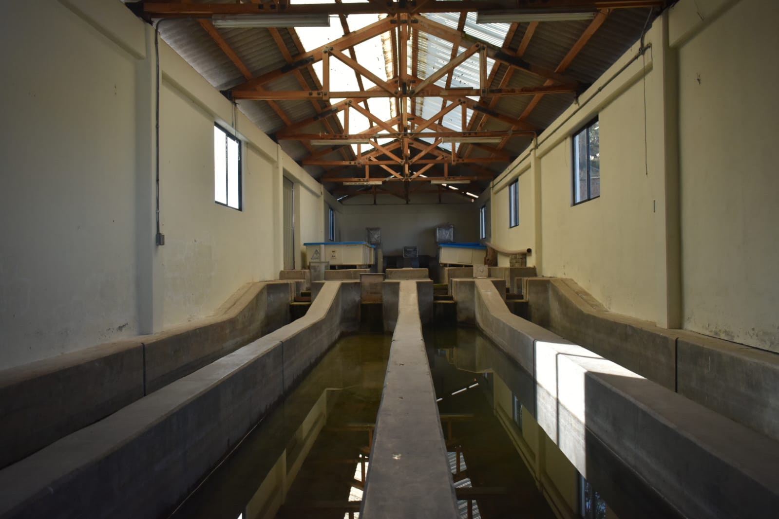 Tiquina tiene un nuevo laboratorio para mejorar reproducción de peces en el Titicaca 