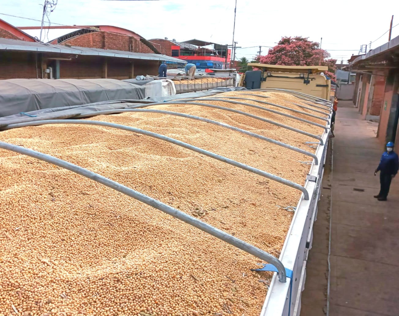 Interceptan a cuatro camiones con 184 toneladas de soya de contrabando mezclada con semillas y residuos de nailon