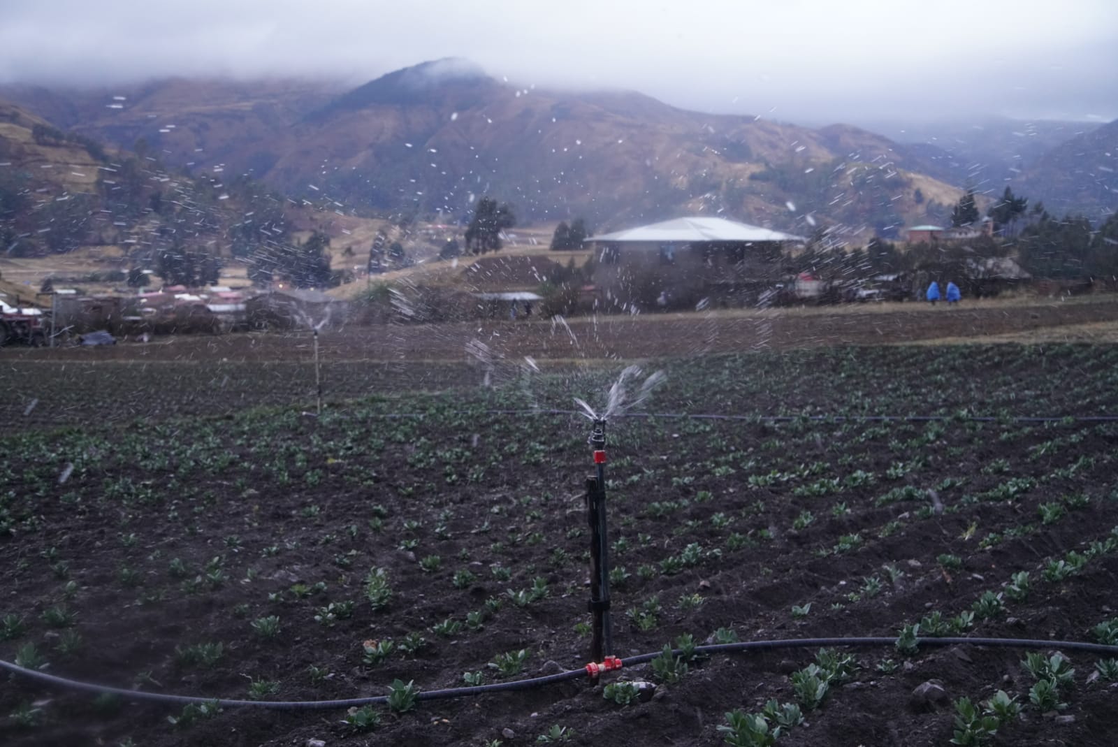 Gobierno refuerza planes de riego ante falta de lluvias en el altiplano paceño