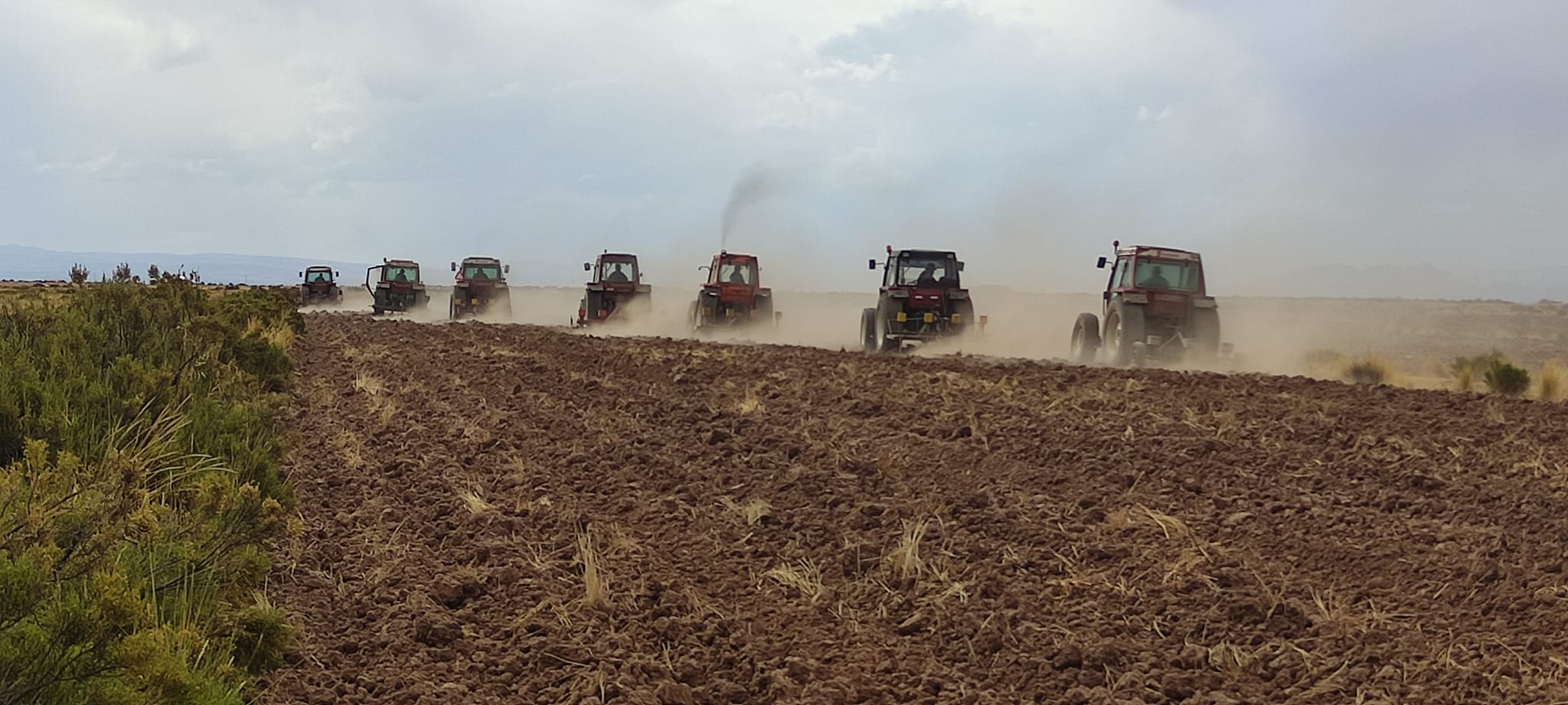 Siembra mecanizada de quinua llega a la comunidad Ayamaya de Sica Sica 