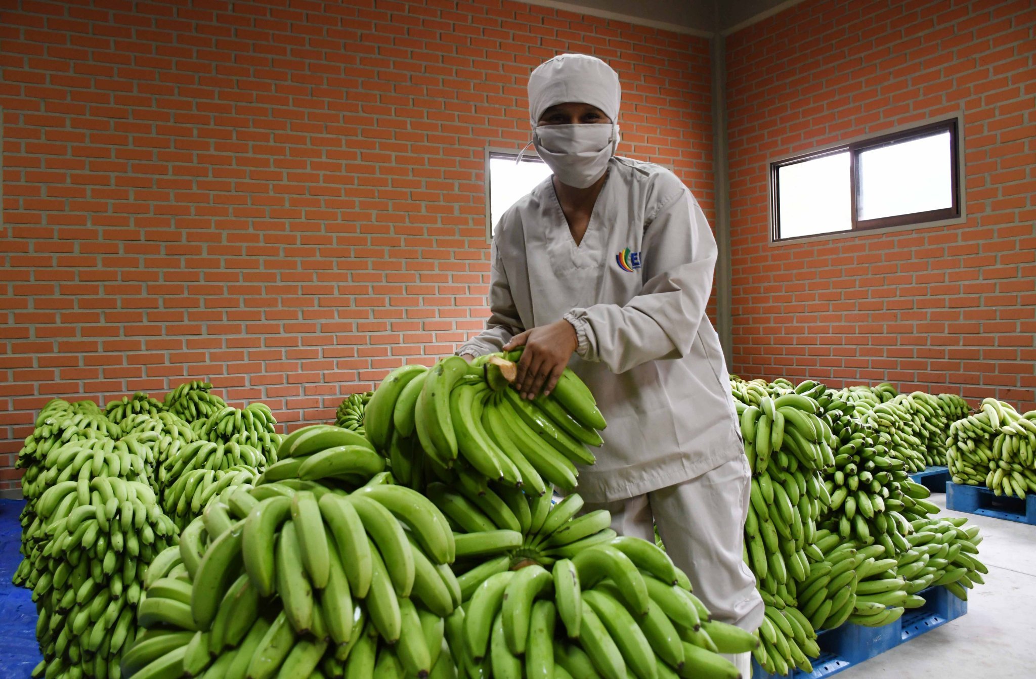 Exportaciones alcanzan a $us 9.456 millones e importaciones a $us 8.354 millones a agosto