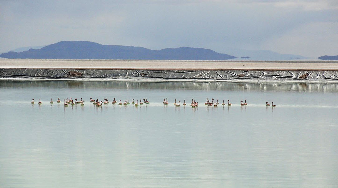 Tecnología EDL incrementa en más de 80% la obtención de litio de las salmueras