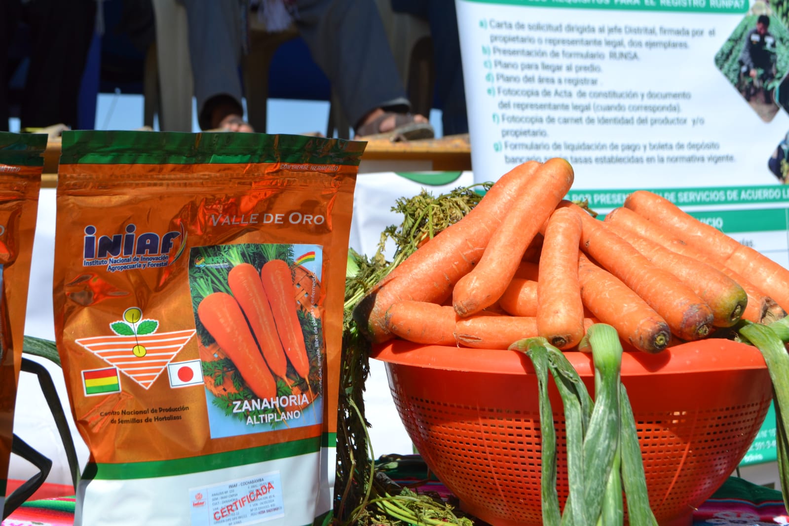 Gobierno invierte más de Bs 2 millones en la producción de hortalizas en municipio de Paria