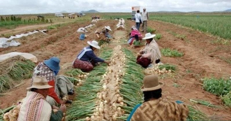 El Presidente celebra este 2 de agosto el Día de la Revolución Agraria con un fuerte impulso al agro