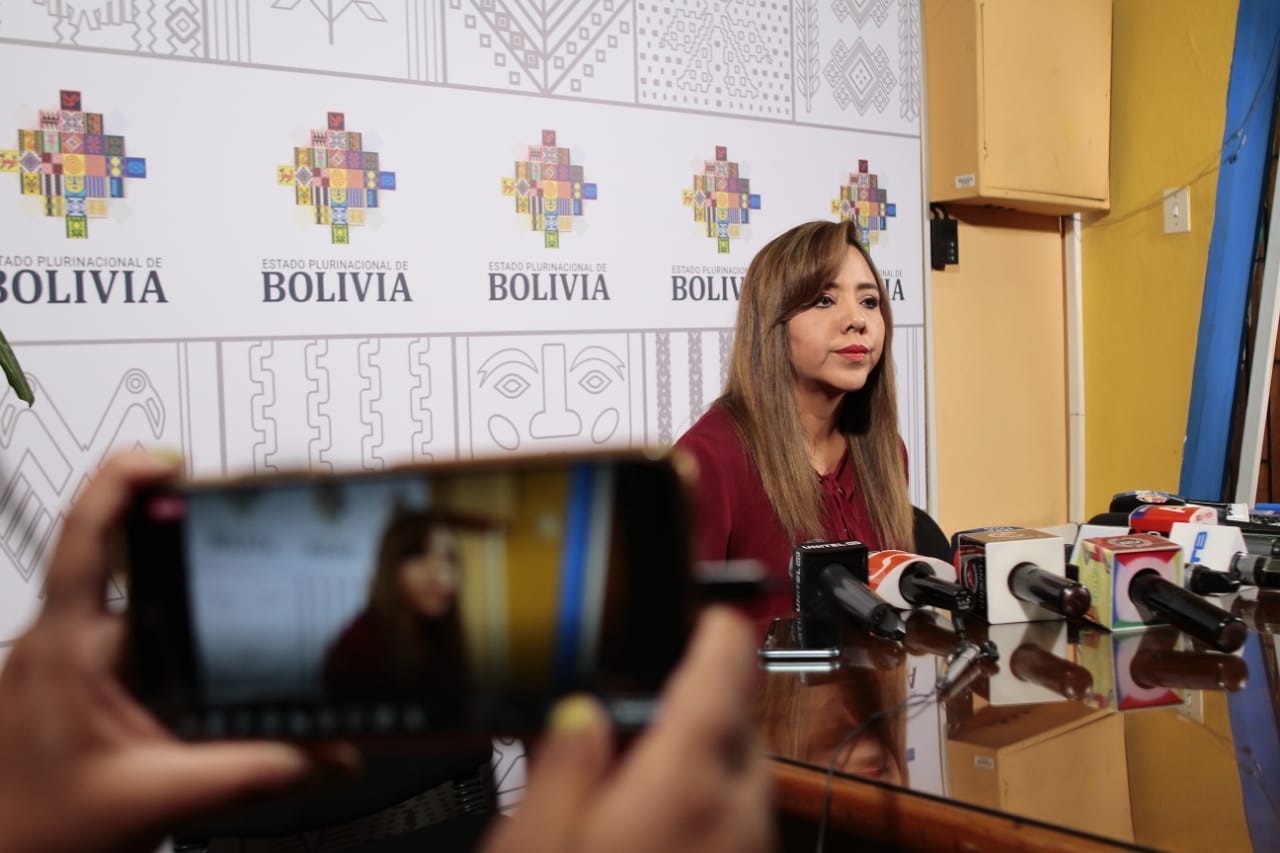 Viceministra Alcón: Se entregará información del censo, no hay argumentos para movilizaciones