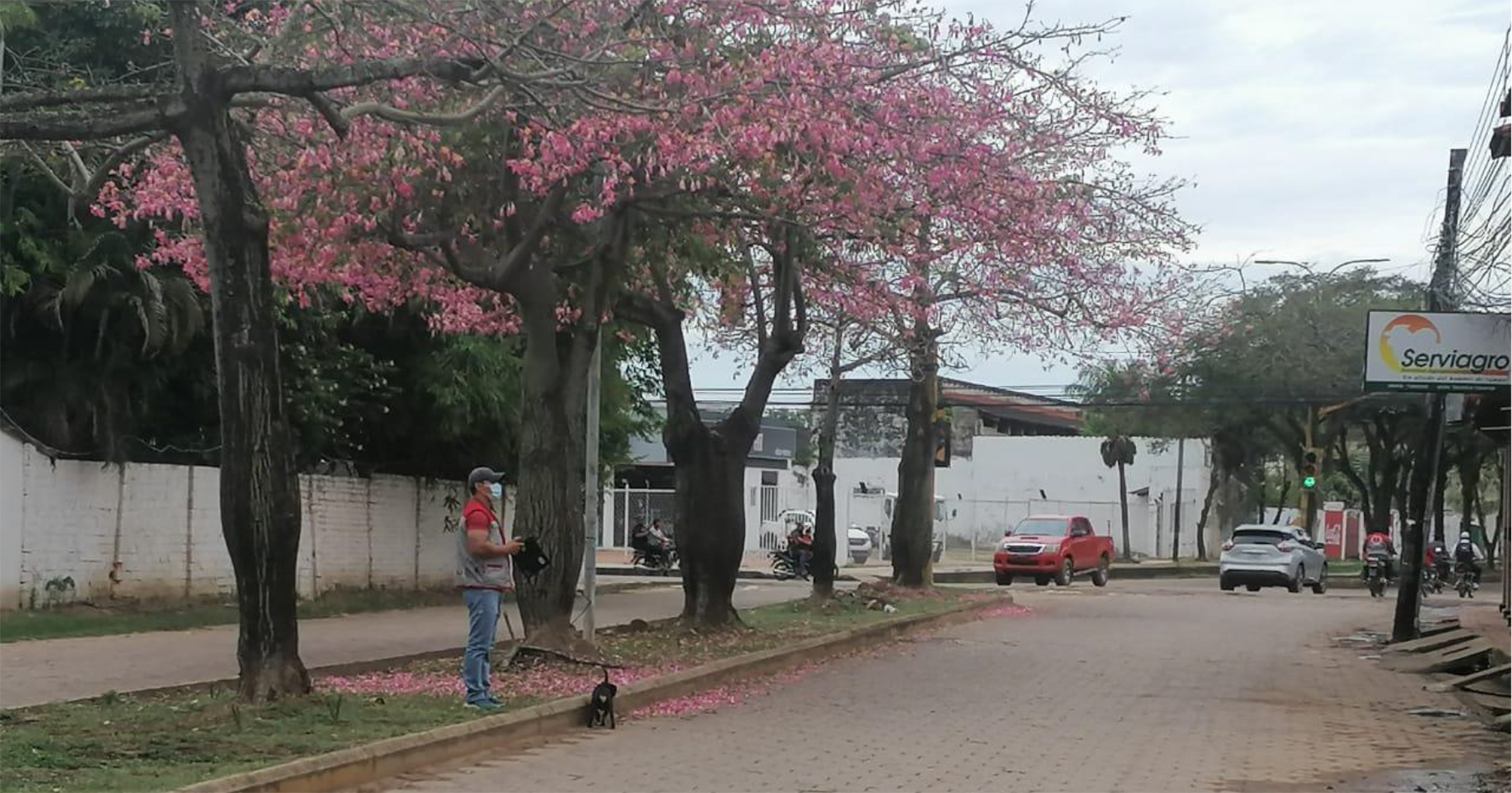 Concluye actualización cartográfica en área censal uno de Trinidad