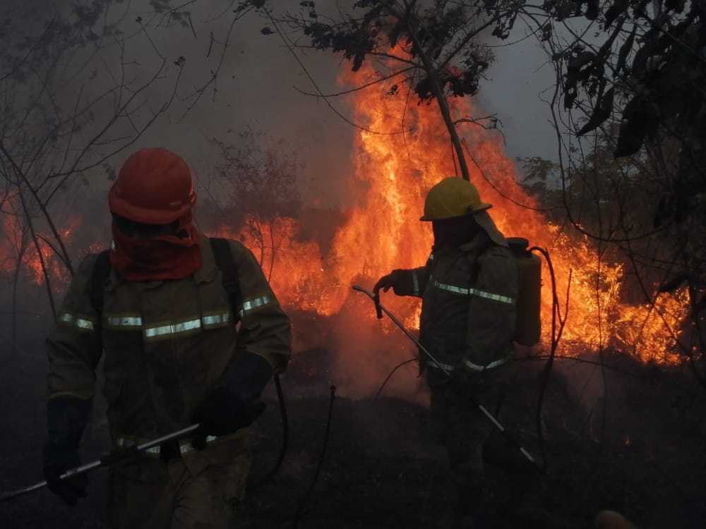 Fuerzas Armadas en apronte para enfrentar incendios forestales
