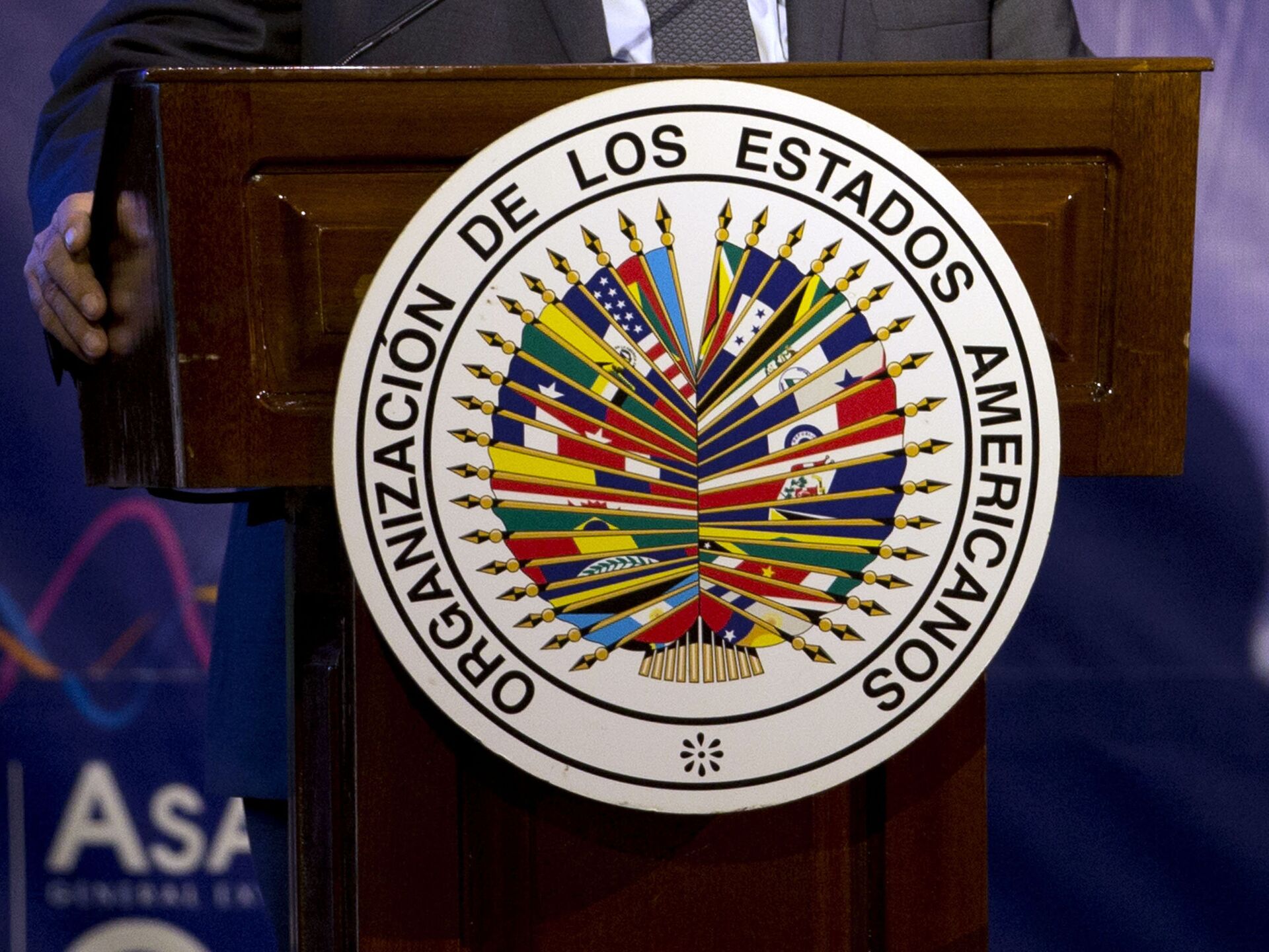 Bolivia solicita por onceava vez a la OEA información sobre el supuesto fraude electoral de 2019