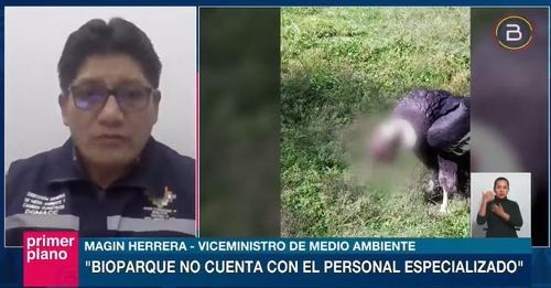 Inspección devela que entre enero y mayo murieron 88 animales en el Bioparque Municipal Vesty Pakos