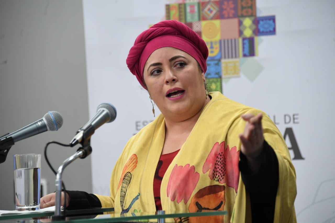 Ministra considera que proyecto de ley del Censo del MAS-IPSP no vulnera competencias del Ejecutivo