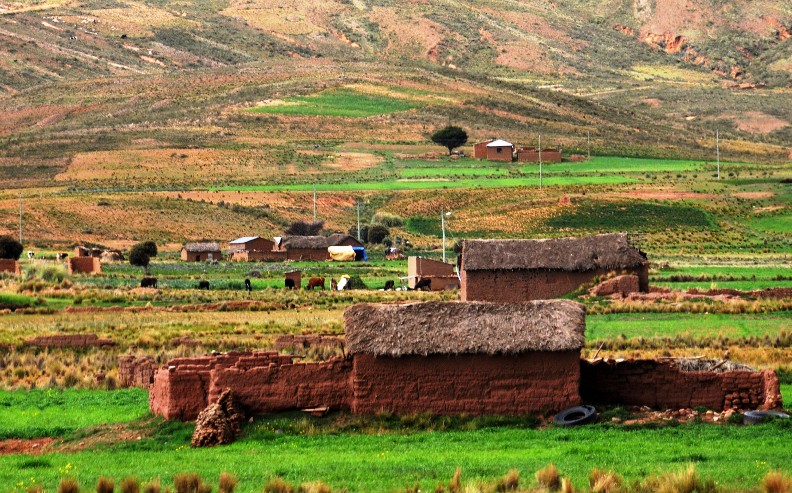 El presidente Luis Arce estará hoy en la histórica Ucureña para celebrar el Día de la Revolución Agraria