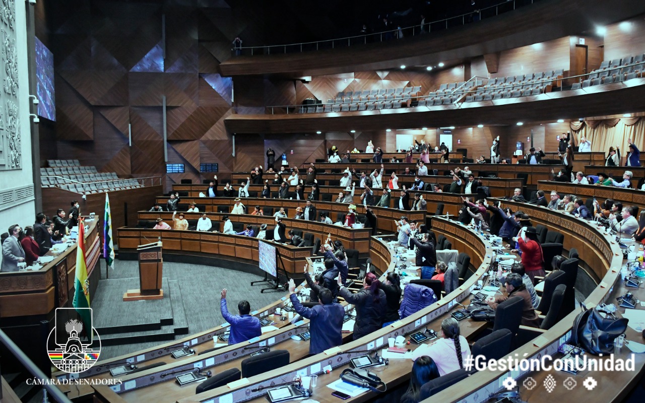 ALP respalda informe del Ministro de Gobierno sobre seguridad ciudadana en El Alto