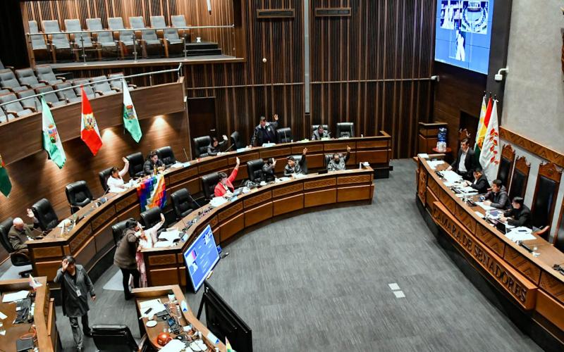 Senado modifica seis leyes para precautelar derechos de víctimas de feminicidio, violación e infanticidio