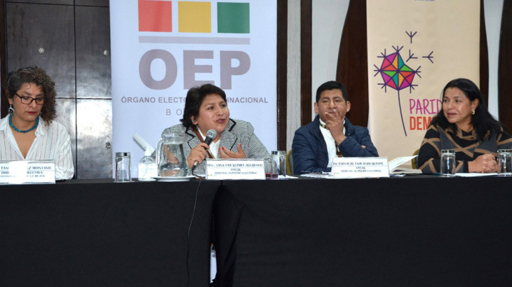 TSE estima seis meses para la redistribución de escaños