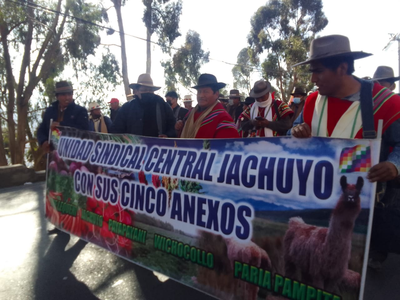 Las 36 nacionalidades reconocidas por la Constitución presentes en defensa de la democracia y la economía