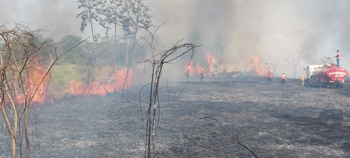 Bomberos franceses capacitan a brigadistas de las FFAA en combate de incendios forestales
