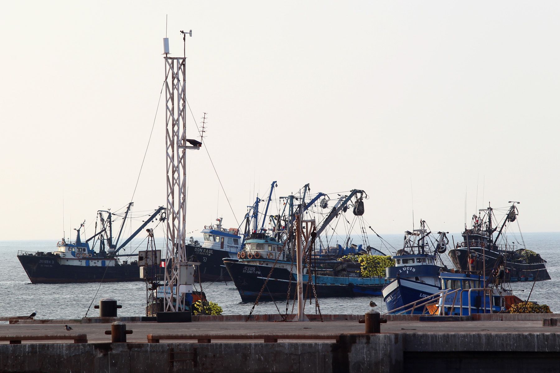 Autoridades de Ilo explicarán en La Paz y Santa Cruz oferta portuaria a exportadores bolivianos