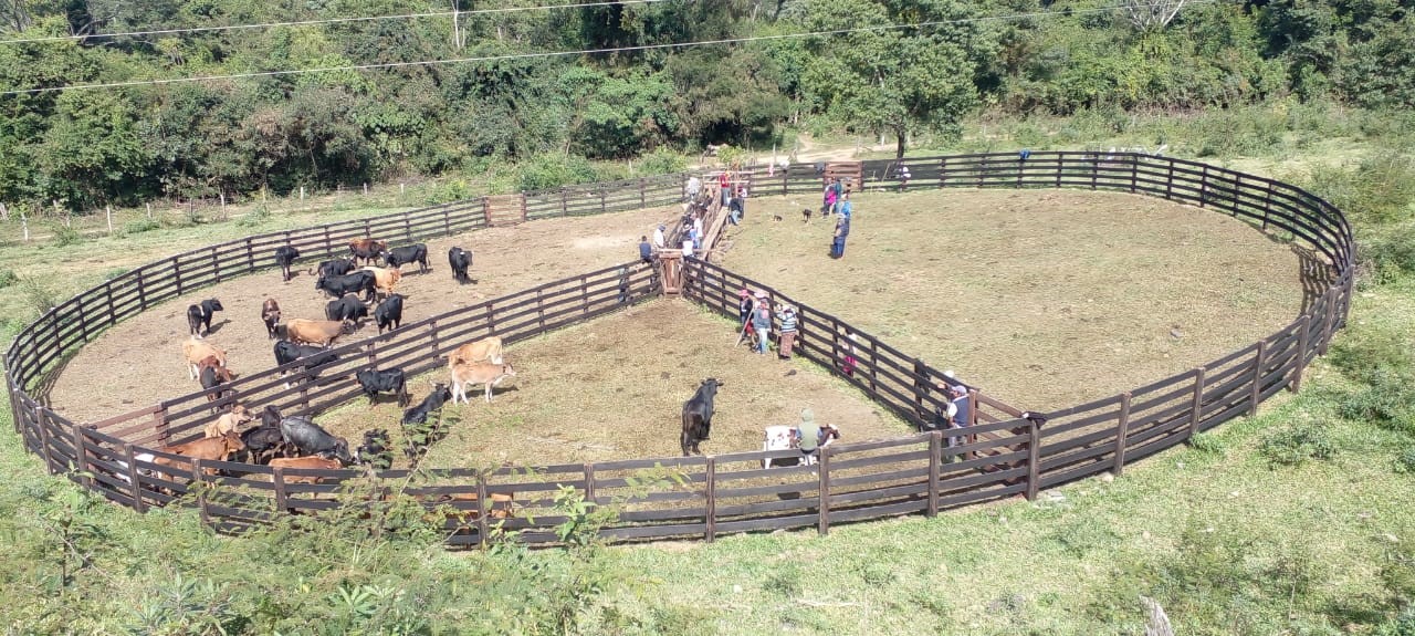 El Gobierno identifica dos comunidades guaraníes en condiciones de “semiesclavitud”