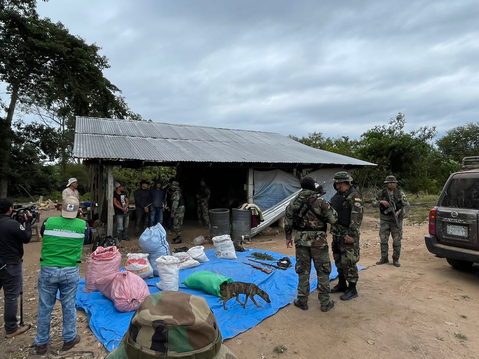 Fuerza antinarcóticos destruye plantaciones de marihuana en Santa Cruz