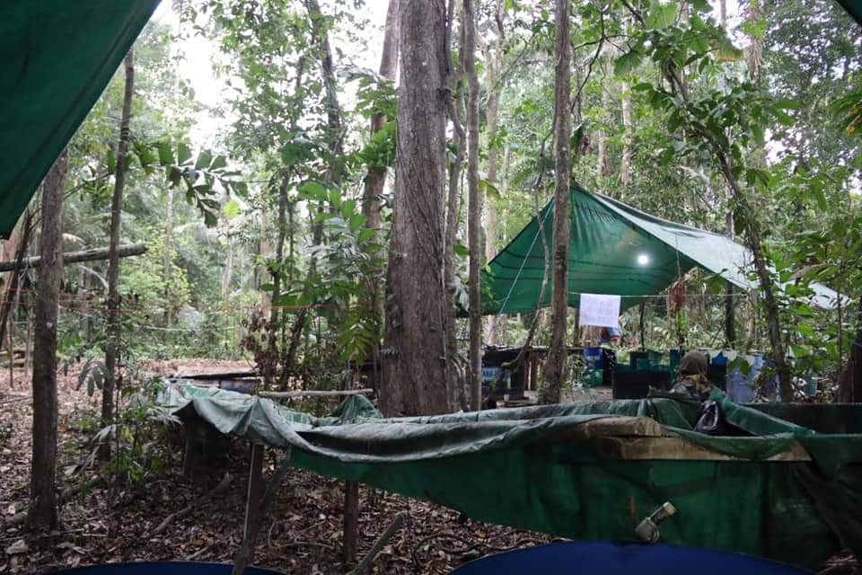 Fuerza antidroga destruye mega laboratorio en el Tipnis