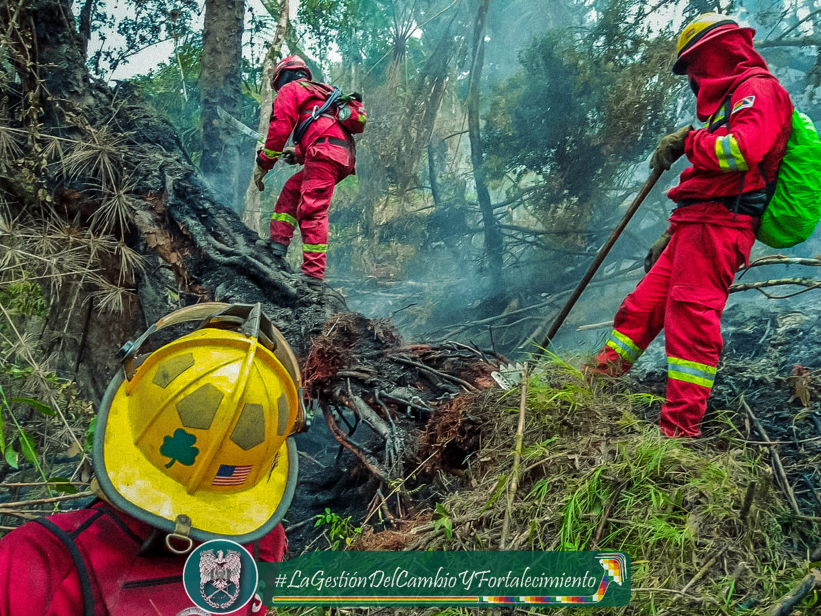 Interculturales y asambleístas de La Paz declaran emergencia por incendio forestal en el norte paceño 