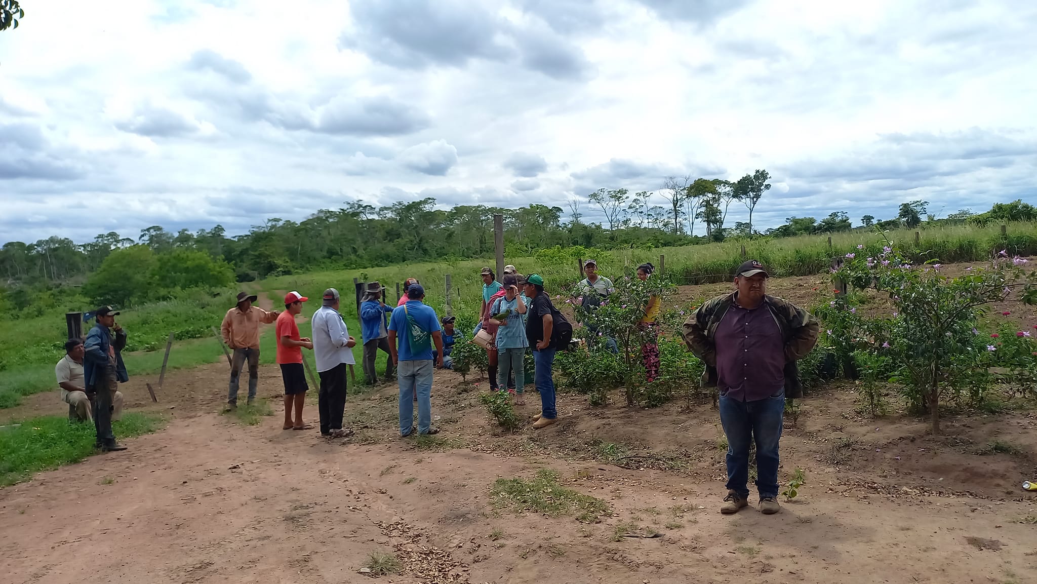 Cada mes se registran alrededor de 26 denuncias por avasallamiento y tráfico de tierras en el país 