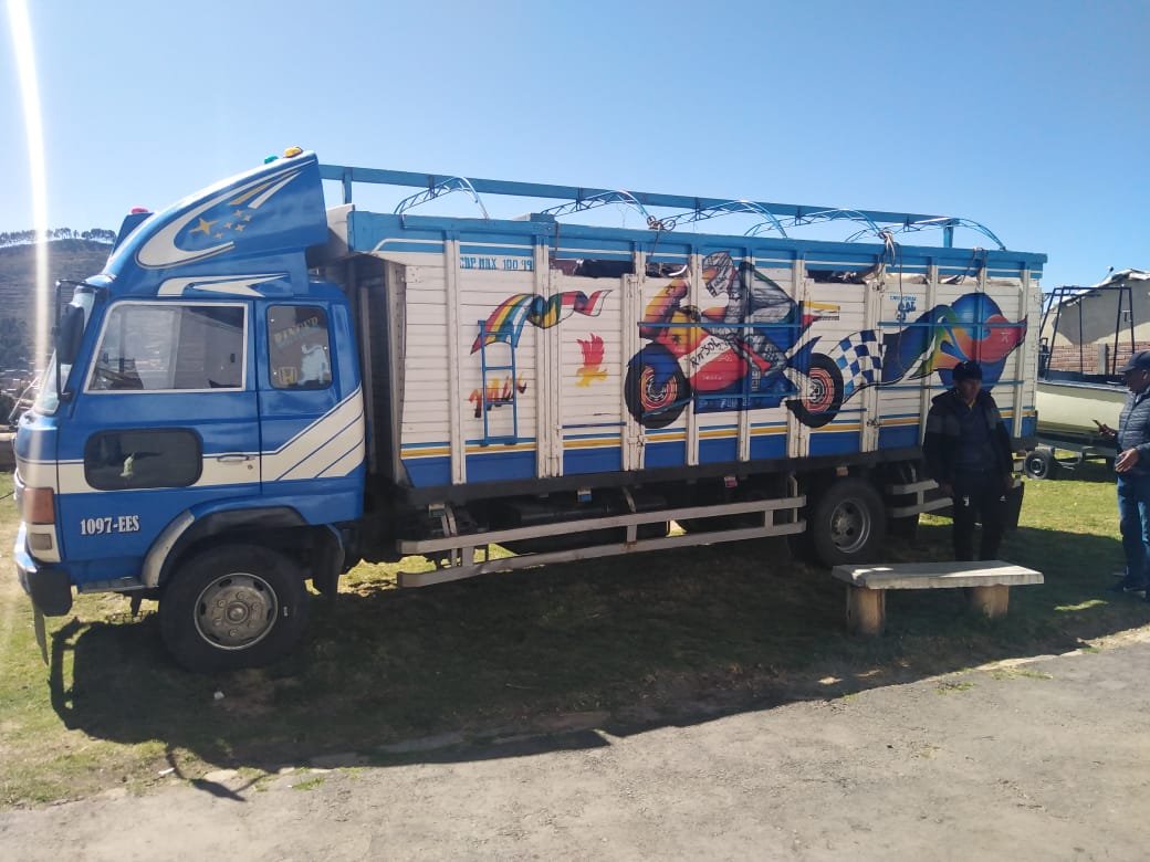 Ganado comisado será faenado para distribución en asilos, albergues y orfanatos