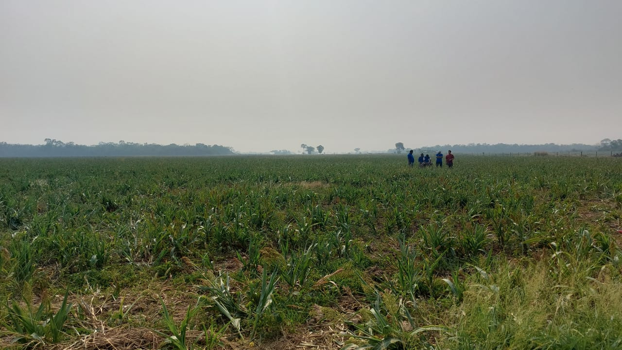 Agropecuarios y familia Canelas aplauden al Gobierno por el desalojo de avasalladores