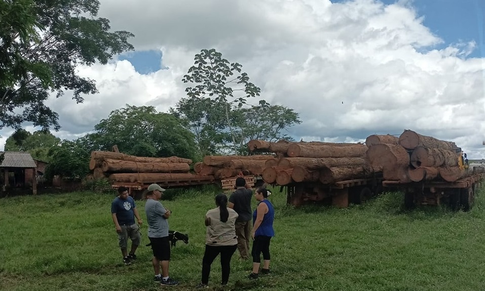 La ABT decomisa nueve camiones con madera en Riberalta