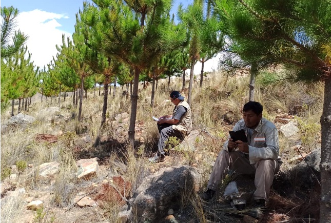 Fonabosque presenta nomina de 27 entidades habilitadas para presentar estudio de diseño técnico de preinversión