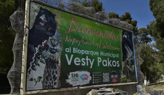 Cuestionan apertura del Vesty Pakos por falta de cambios que garanticen el bienestar de los animales