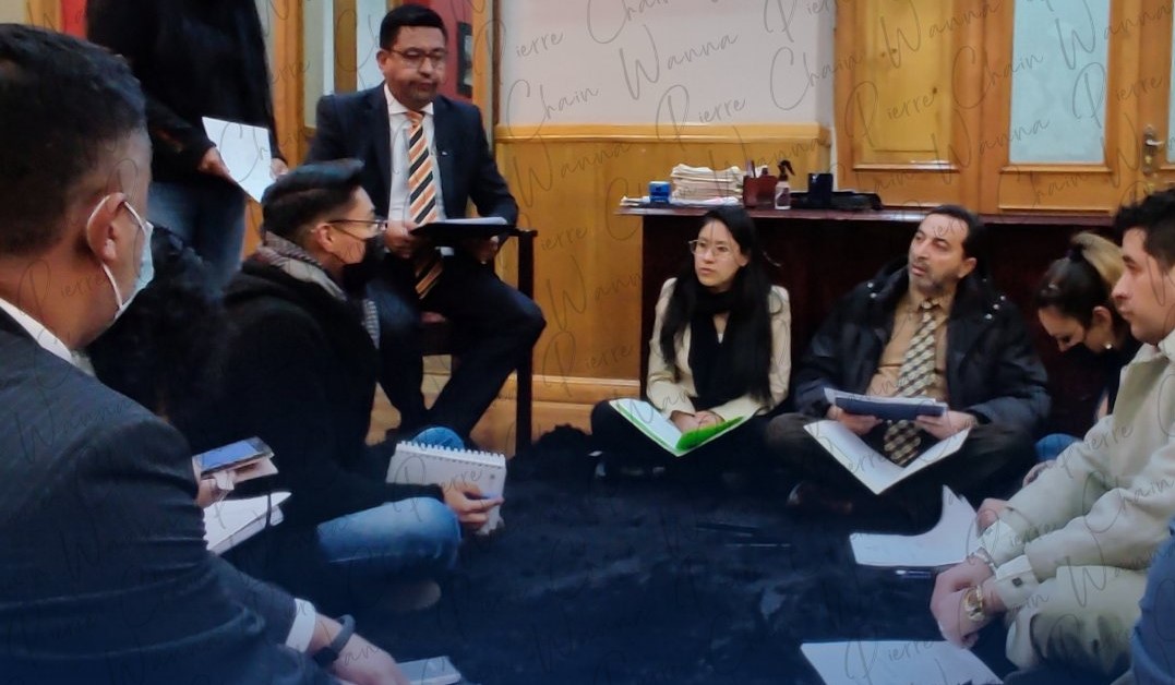 Comisión del concejal Chain sesiona sobre el piso del hall principal 