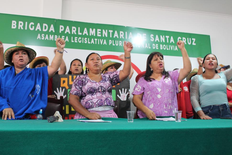Federación Bartolina Sisa y organizaciones de mujeres de Santa Cruz demandan 11 puntos para la defensa de sus derechos