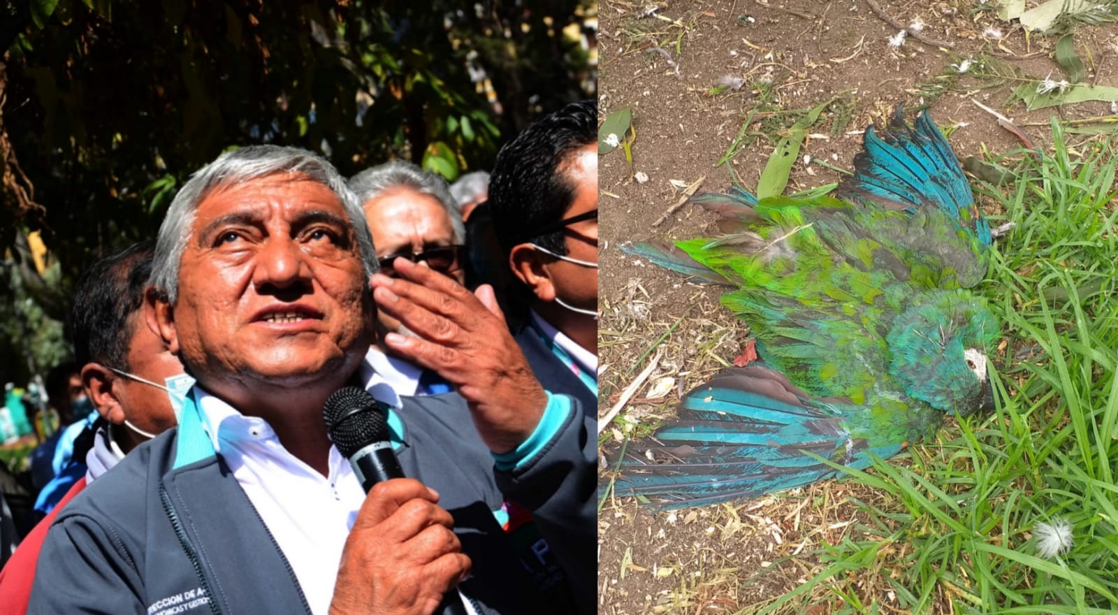 Exadministradora denuncia que Arias “encubre” a presuntos responsables de las muertes en el Vesty Pakos 