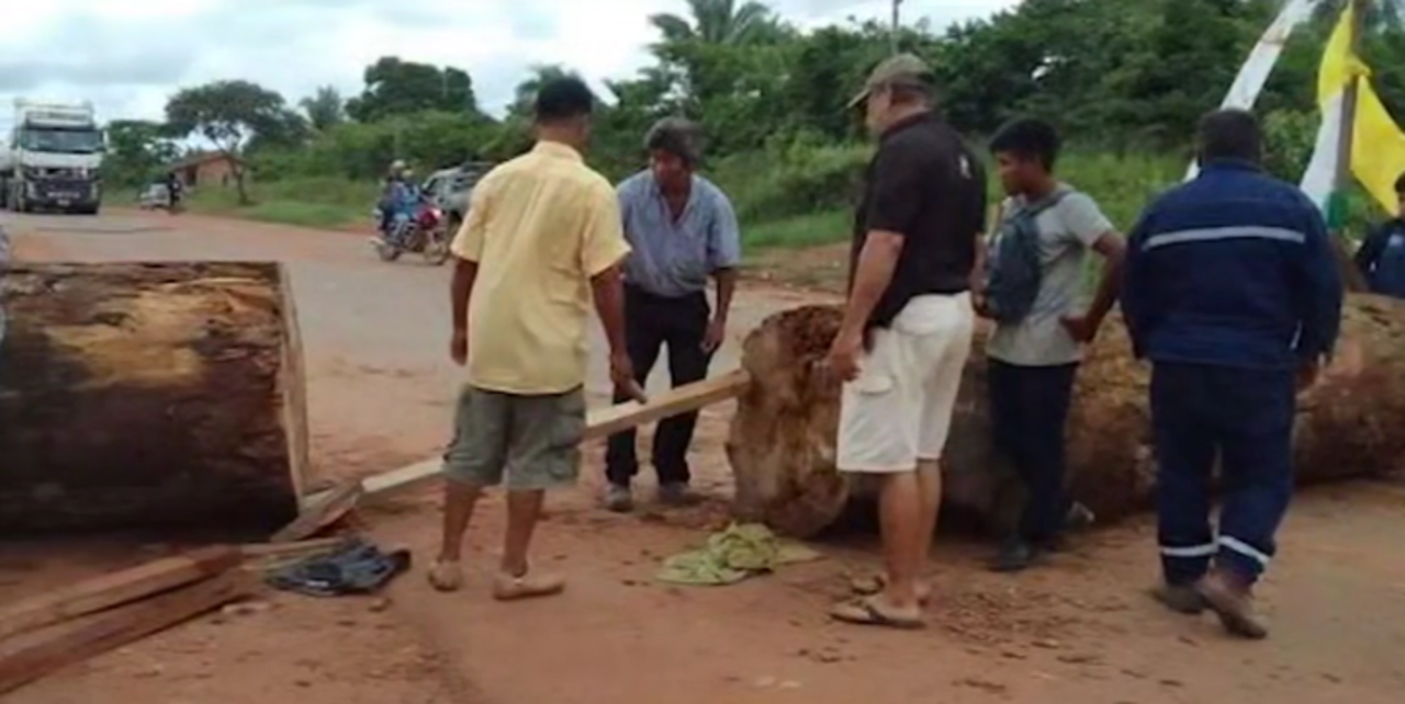 Montaño denuncia que se derribaron 200 árboles para los bloqueos en 19 días de paro cruceño