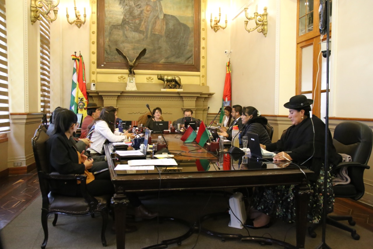 Colegio de Arquitectos de La Paz advierte de acciones legales si se promulga la Ordenanza 046 de construcciones 