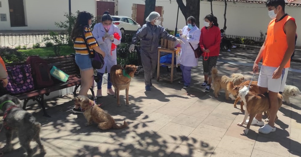 En Sucre confirman dos nuevos casos de rabia canina, el total sube a 17