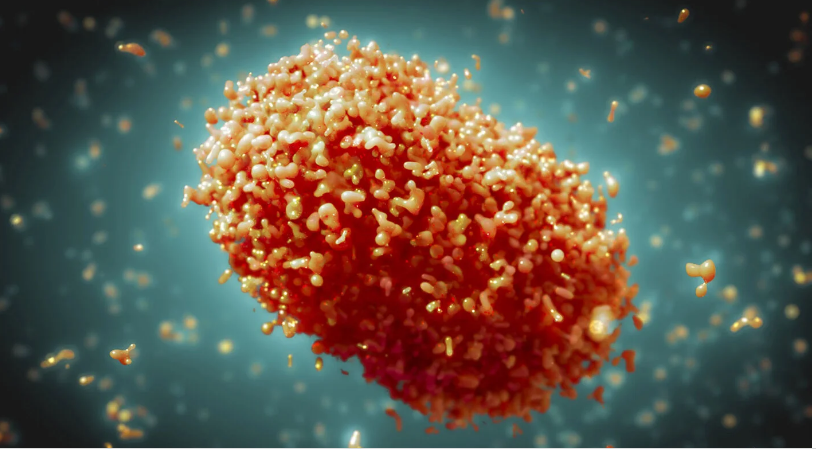 Bolivia reporta la primera muerte por viruela símica