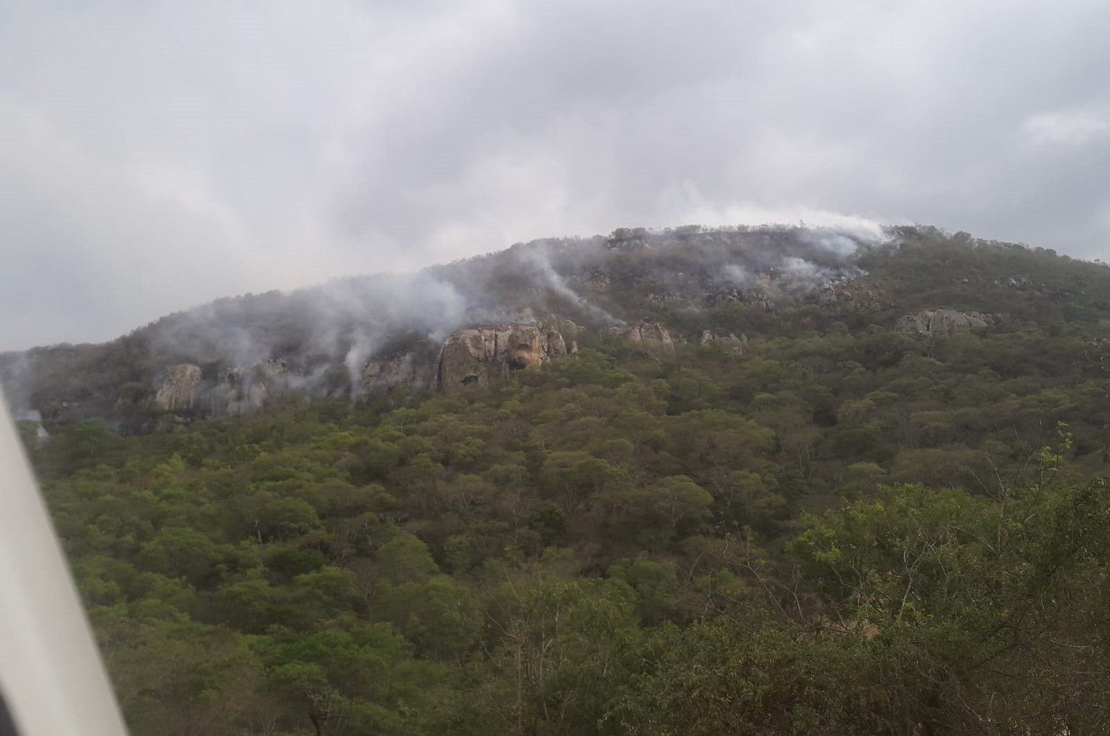 Incendios forestales afectan regiones en Santa Cruz, Tarija y Chuquisaca
