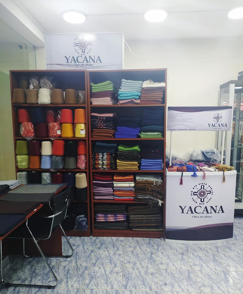 Empresa estatal Yacana negocia la exportación de hilo de alpaca a mercados de China y Europa