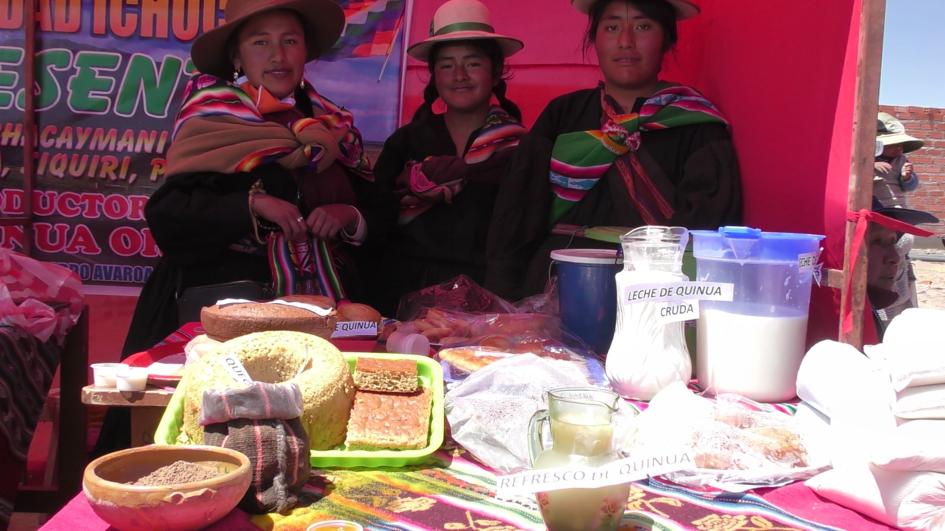 V Congreso de la Quinua reunirá a 3.000 productores de La Paz, Oruro y Potosí en Sica Sica