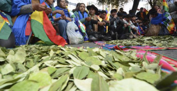 Viceministra de Comunicación afirma que la hoja de coca es parte de la identidad de país
