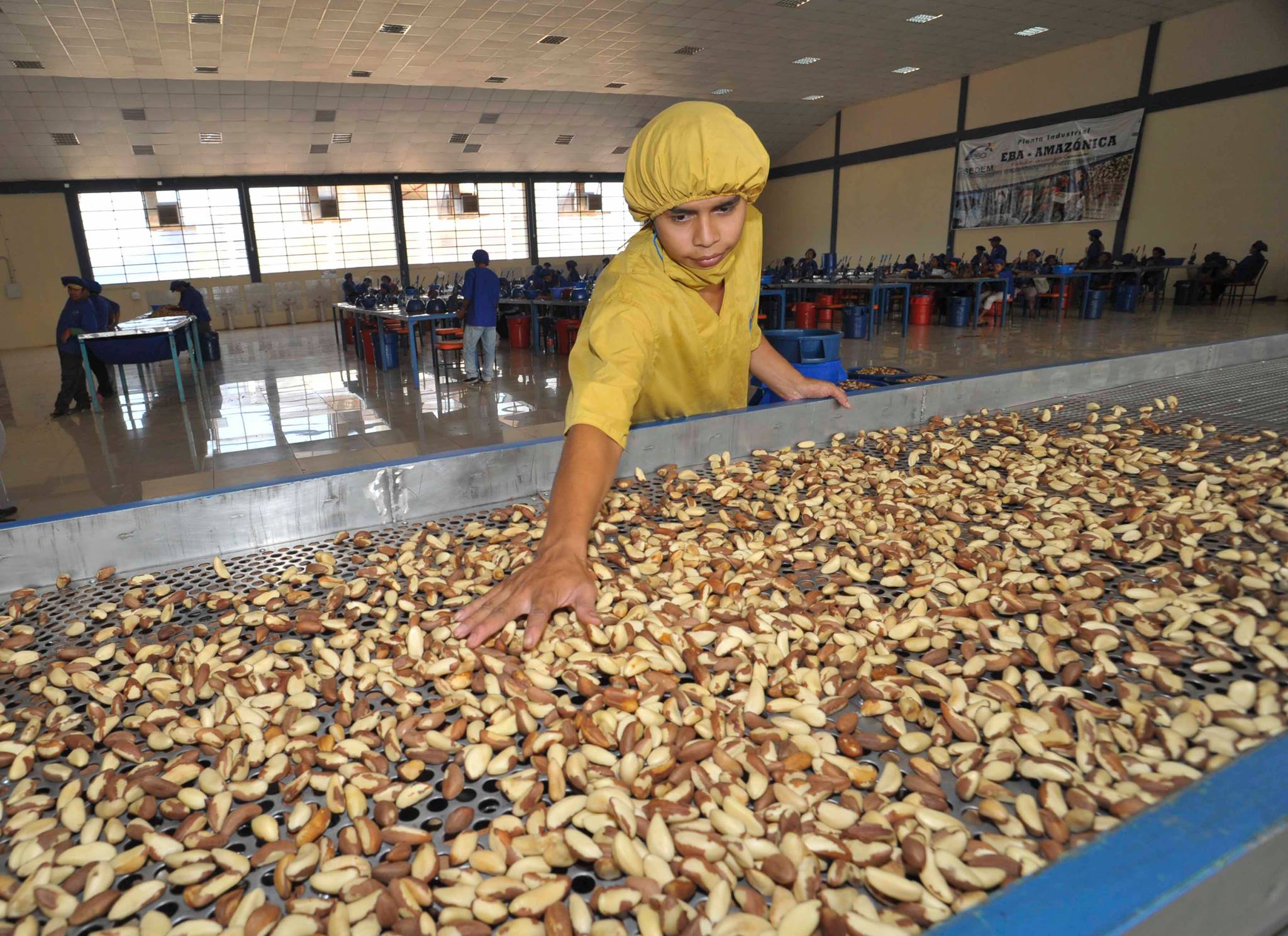 Bolivia reporta un superávit comercial de $us 236 millones al primer bimestre de 2021