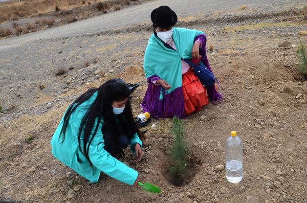 Diputados inspeccionarán hospitales para conocer efectos del paro médico y pedir sanciones