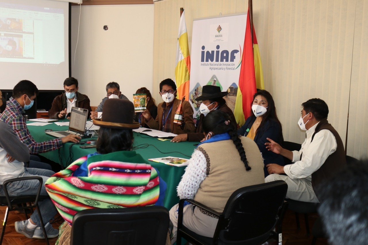 INIAF prevé beneficiar a más de 18.000 productores con transferencia tecnológica