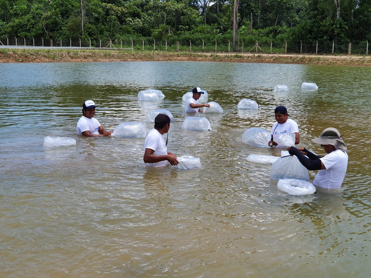 Emapa entregará un complejo piscícola y una nueva planta de transformación de granos este año
