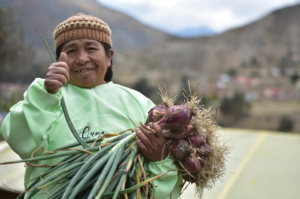 Gobierno invierte Bs 1.779 millones para programas de producción de alimentos en 2022