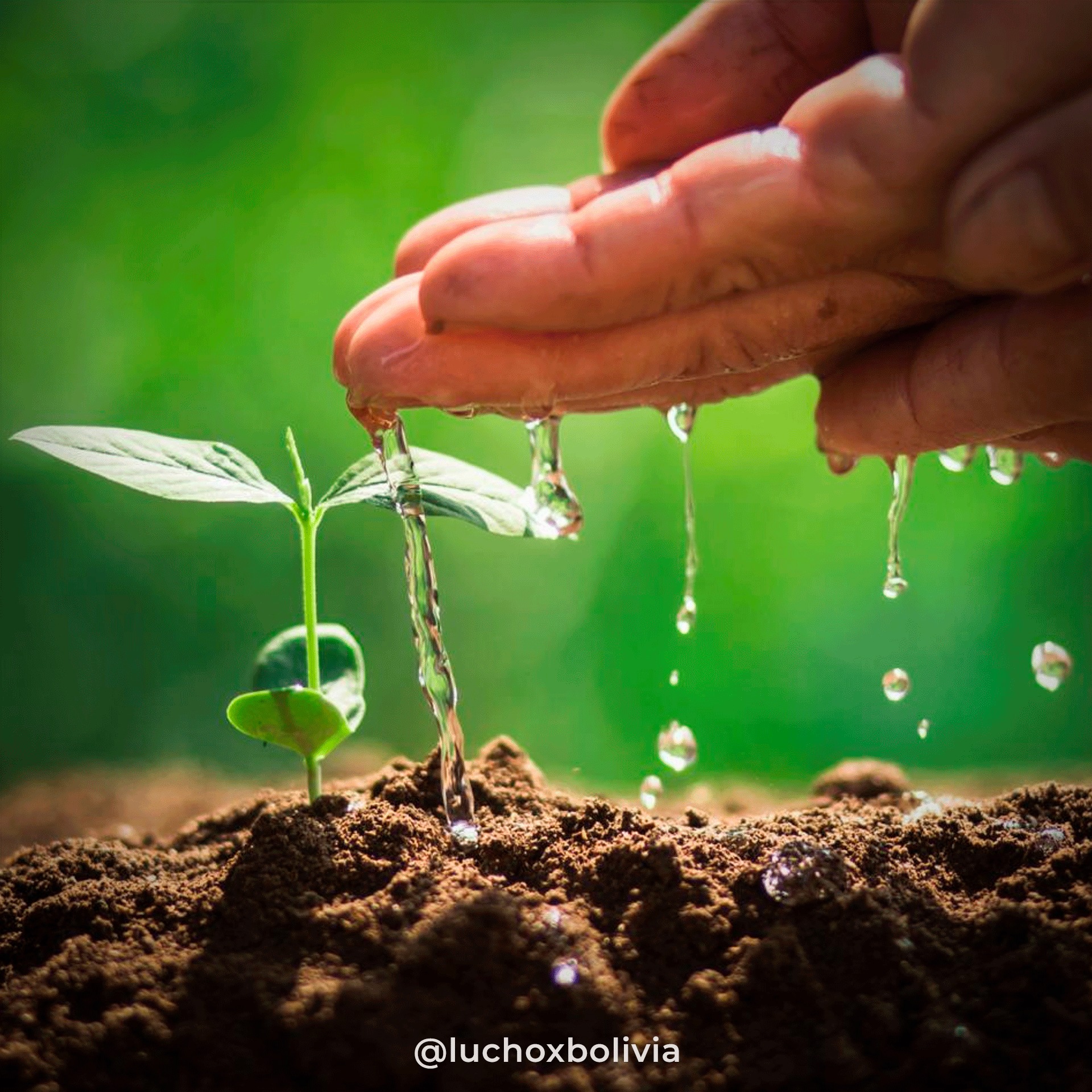 Arce destaca el avance de la industrialización con la implementación de nuevas plantas de bioinsumos y minerales
