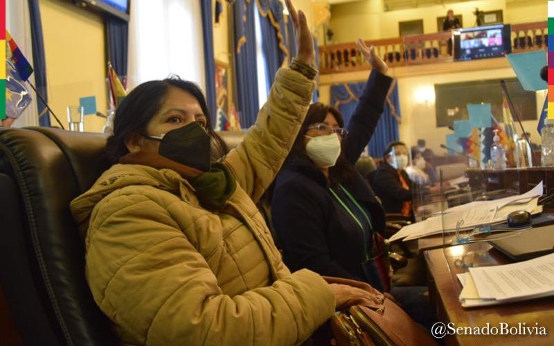 Senado aprueba transferencia de terrenos para construir viviendas para personas con discapacidad en Villa Montes