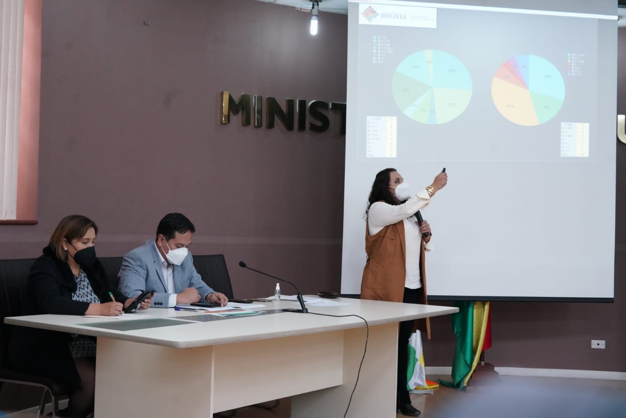 Gobierno confirma que cepa británica circuló en el país durante la segunda ola de COVID-19